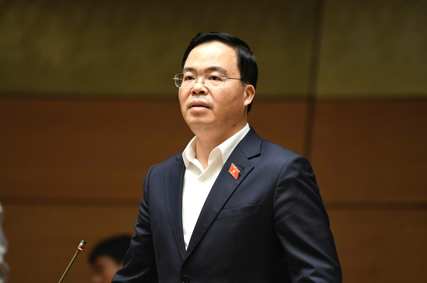 TS. Trần Văn Khải, đại biểu Quốc hội tỉnh Hà Nam. Ảnh: Như Ý