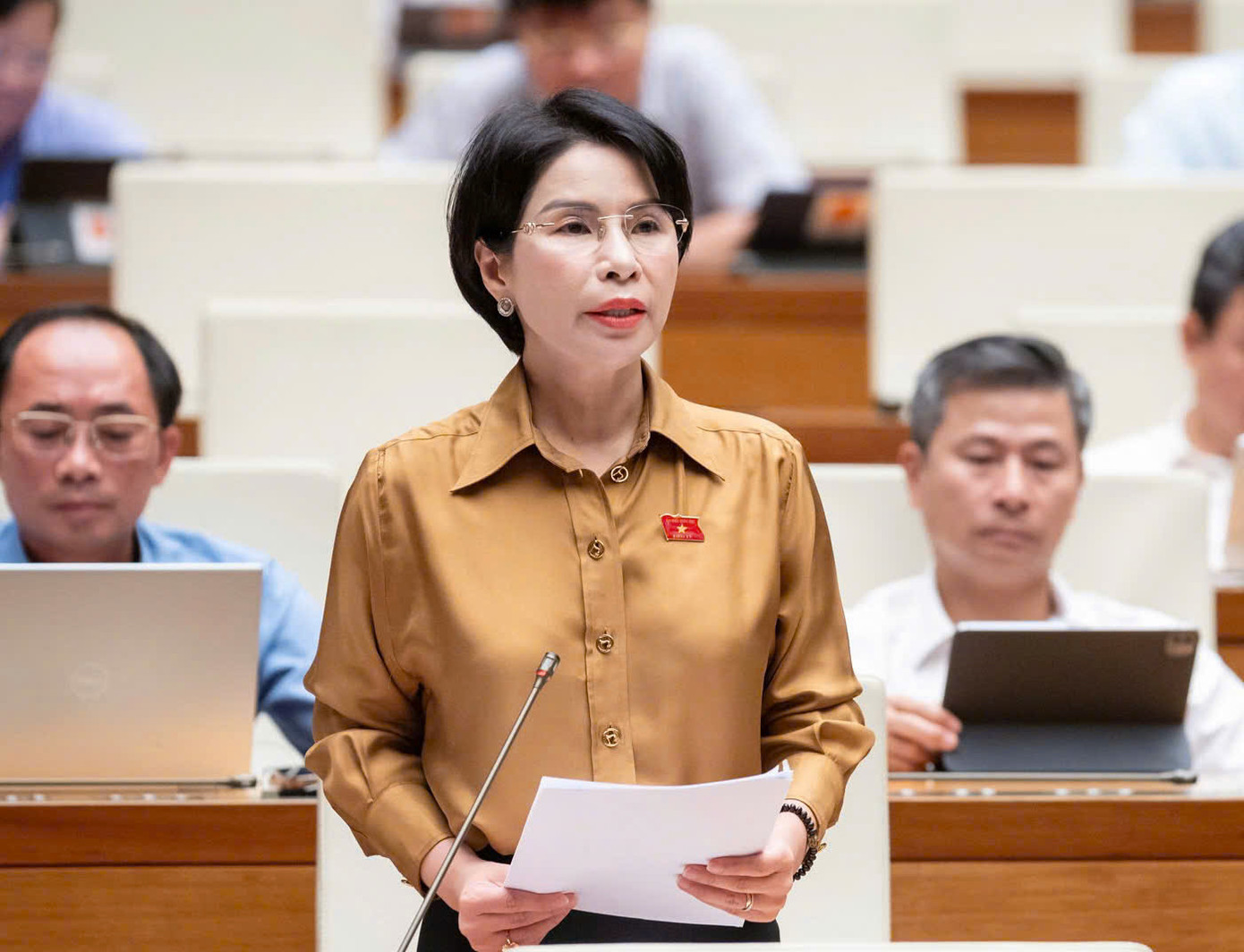 Đại biểu Trần Thị Nhị Hà. Ảnh: Như Ý