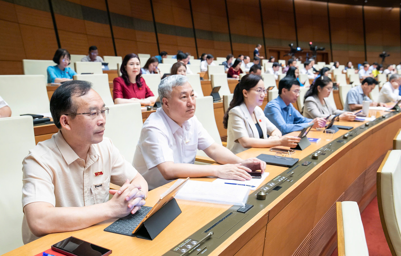 Các đại biểu Quốc hội tại phiên họp ngày 17/5. Các đại biểu Quốc hội tại phiên họp ngày 17/5.