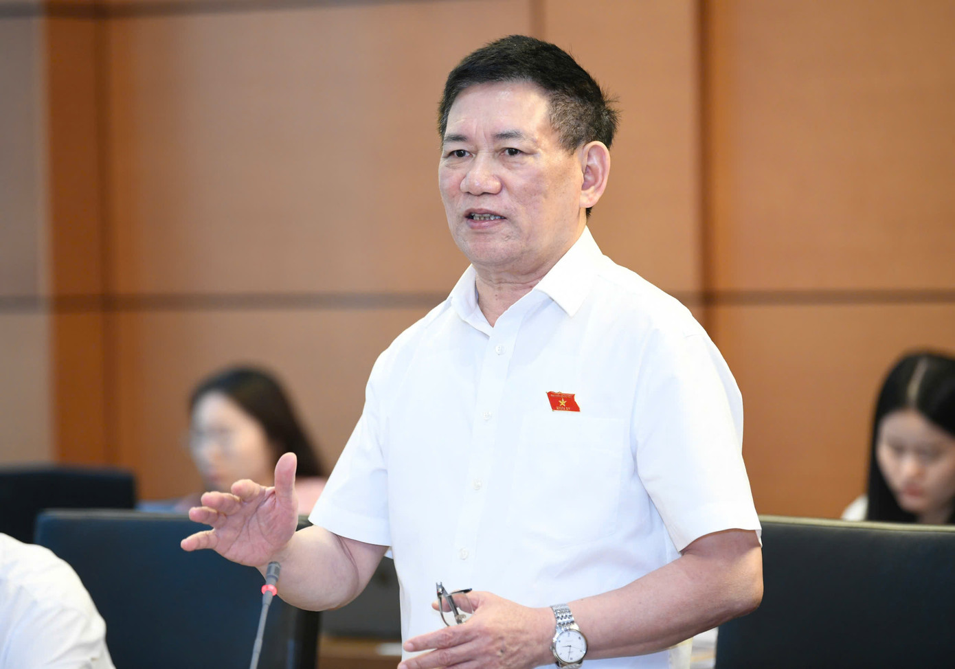 Phó Thủ tướng Hồ Đức Phớc tại phiên thảo luận. Ảnh: Như Ý