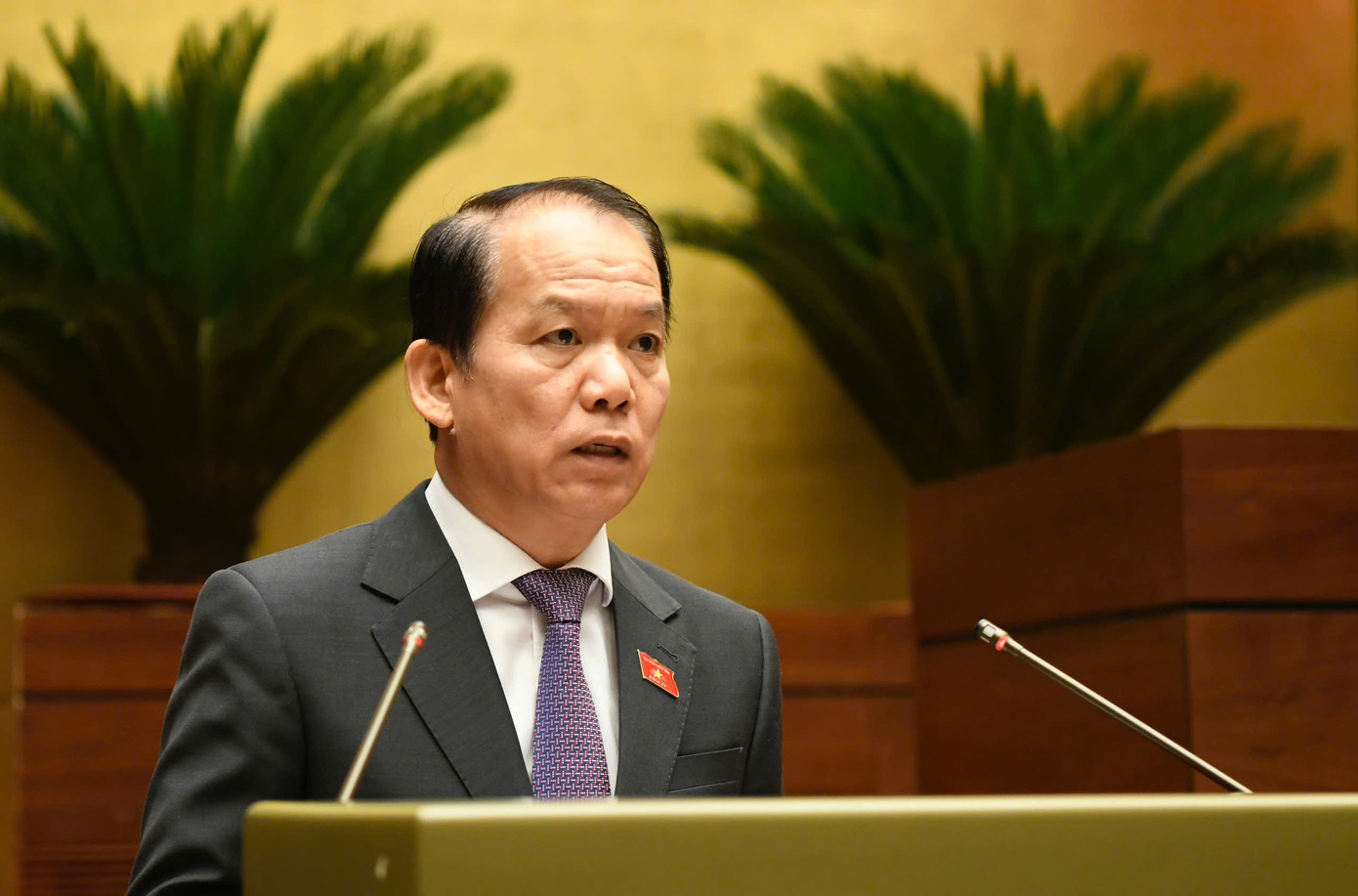 Chủ nhiệm Ủy ban Pháp luật và Tư pháp Hoàng Thanh Tùng. Ảnh: Như Ý