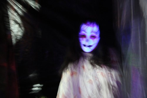 Chương trình của lễ hội là màn sân khấu hóa mang chủ đề “Đám cưới ma” với nhiều tiết mục hấp dẫn, dàn dựng công phu, ấn tượng