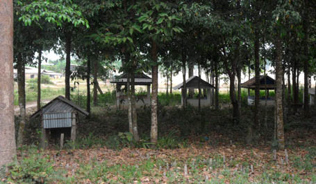 Quang cảnh một khu vườn mộ kỳ bí của người Khmer 