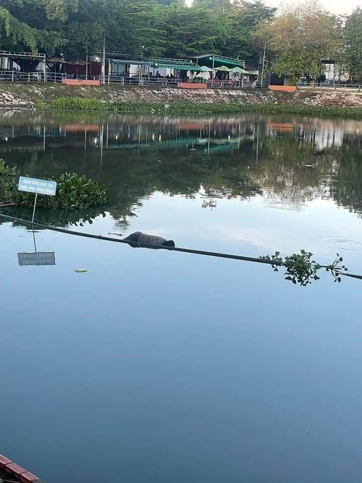 Hồ nước nơi phát hiện thi thể ông M.