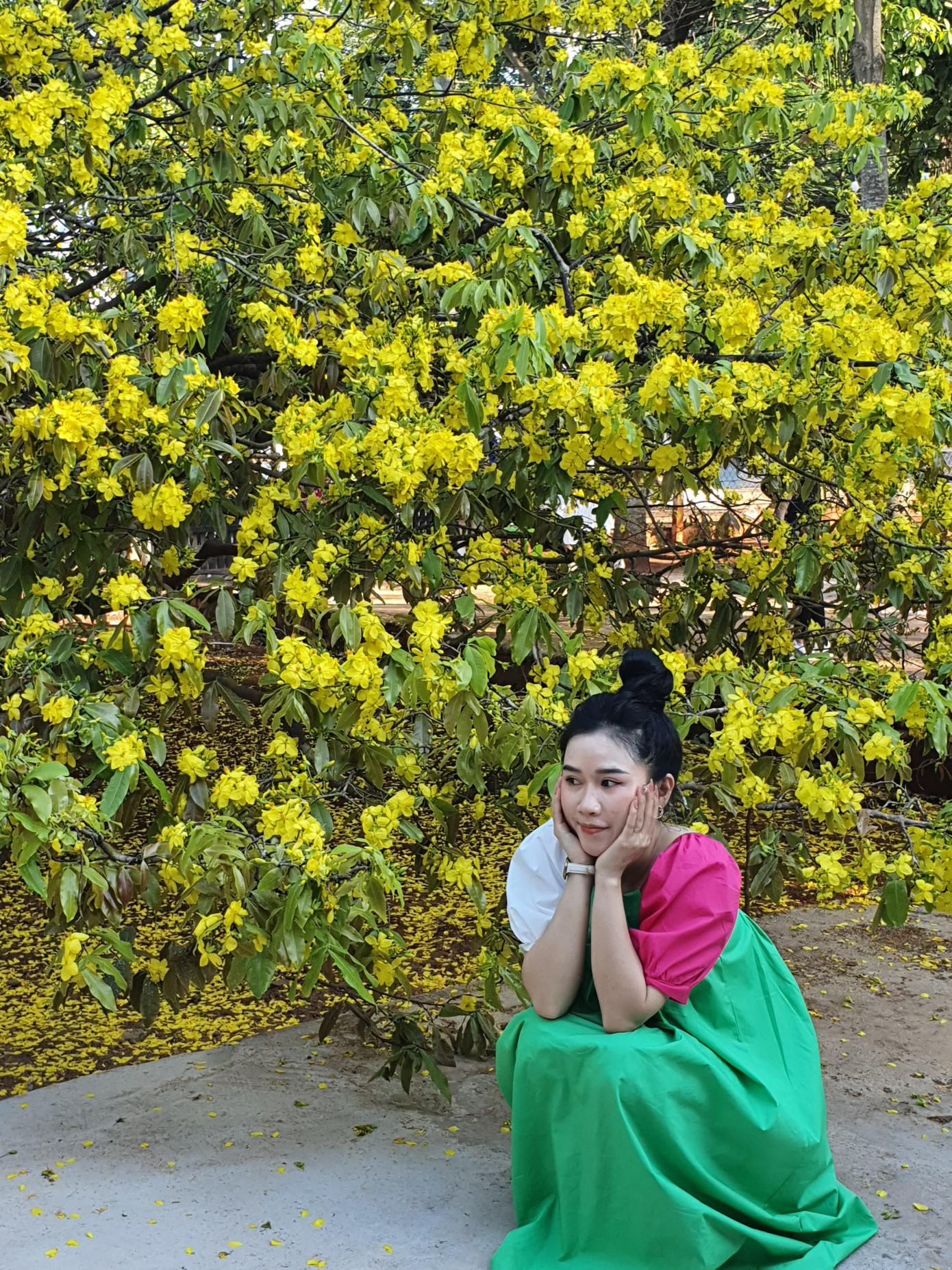 cố gắng để có bức ảnh đẹp nhất cố gắng để có bức ảnh đẹp nhất