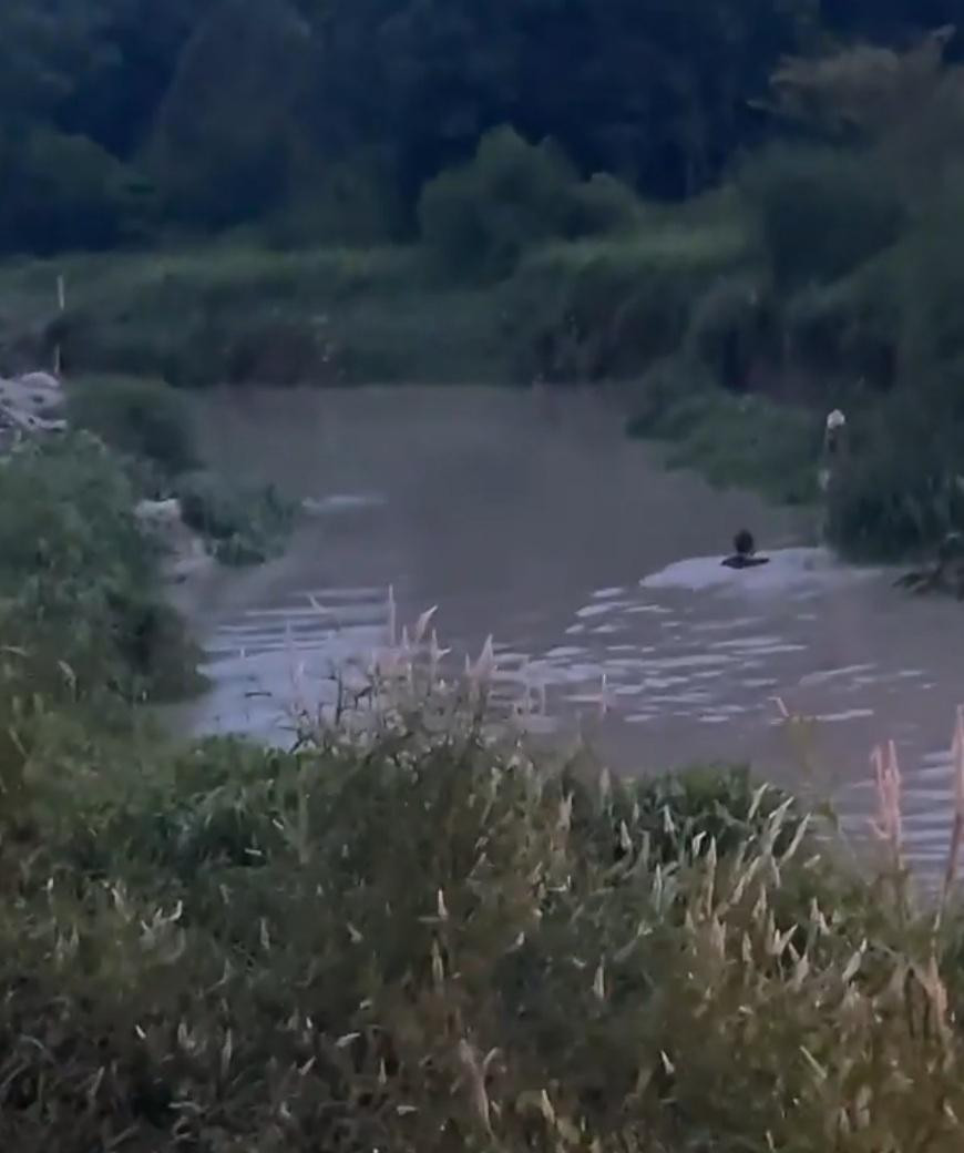 Đoạn suối nơi cháu bé bị nước cuốn trôi Đoạn suối nơi cháu bé bị nước cuốn trôi