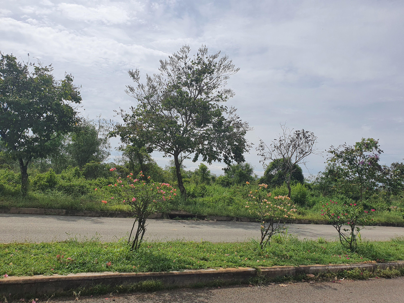 Đất nông nghiệp tại nông thôn tách thửa phải trên 2.000m2