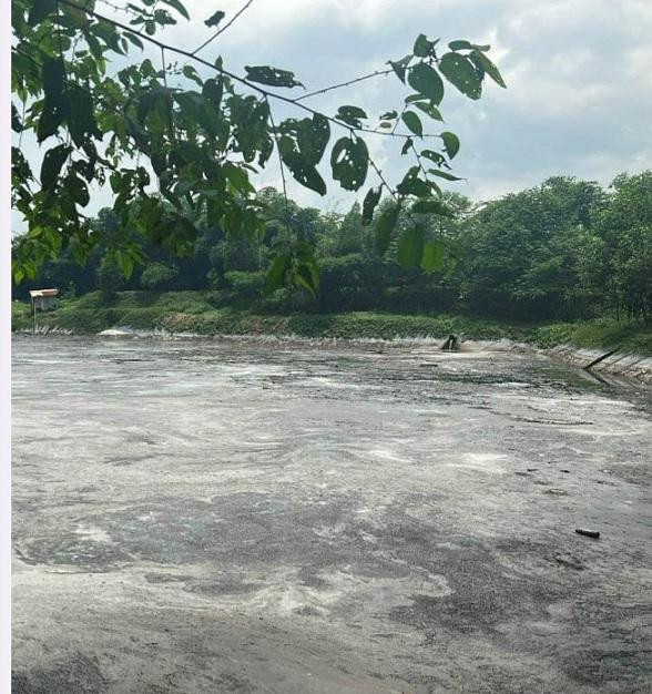 Khu vực Cty Trọng Khôi xả thải vi phạm quy định về môi trường