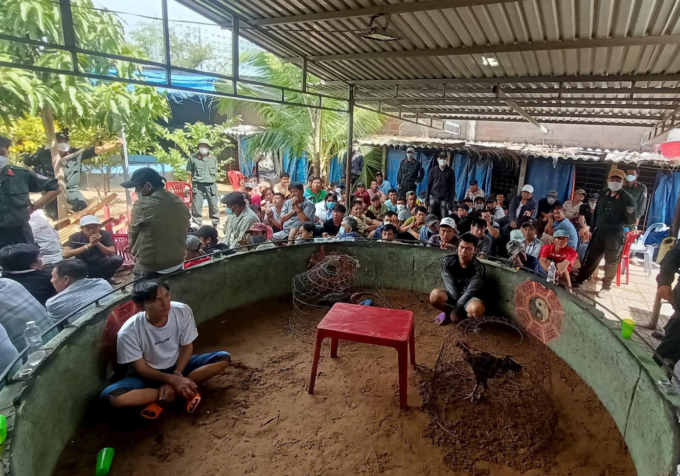 Bên trong trường gà bị công an triệt phá Bên trong trường gà bị công an triệt phá