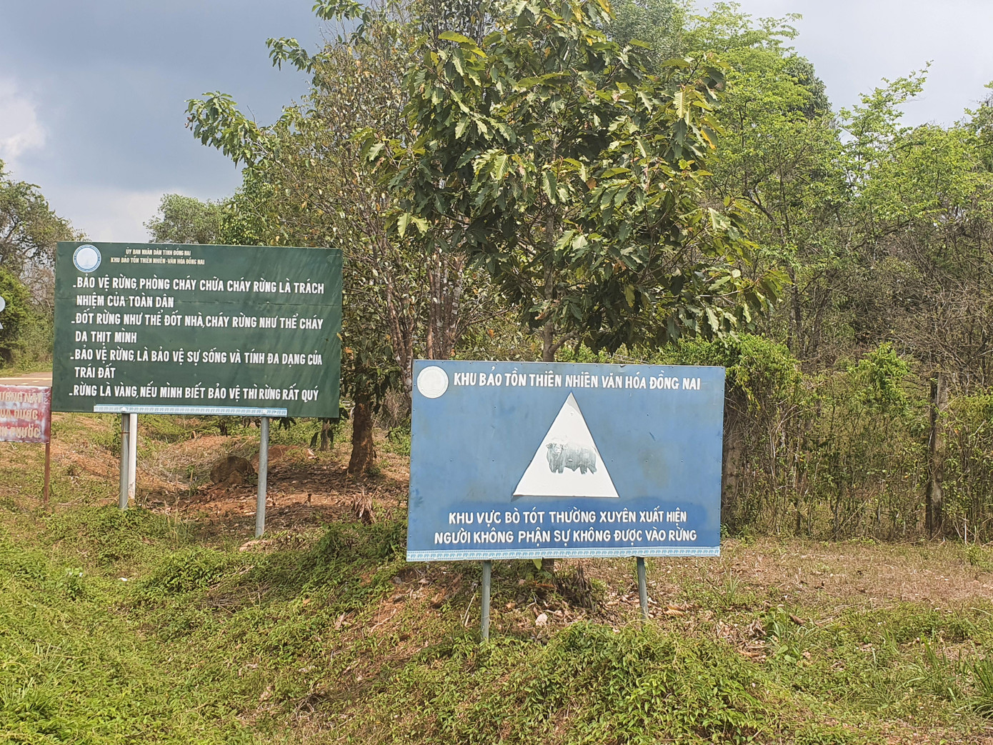 Đây cũng là vùng sinh cảnh của đàn bò tót quý hiếm Đây cũng là vùng sinh cảnh của đàn bò tót quý hiếm