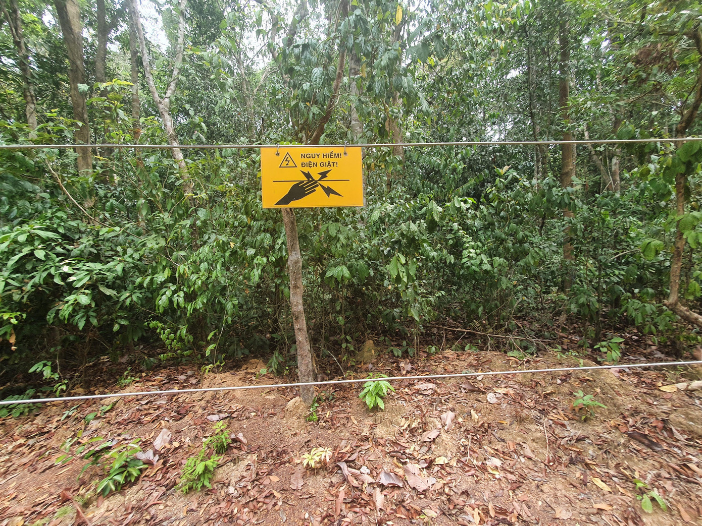 Điểm đầu tiên của hàng chục km hàng rào điện bảo vệ voi Điểm đầu tiên của hàng chục km hàng rào điện bảo vệ voi