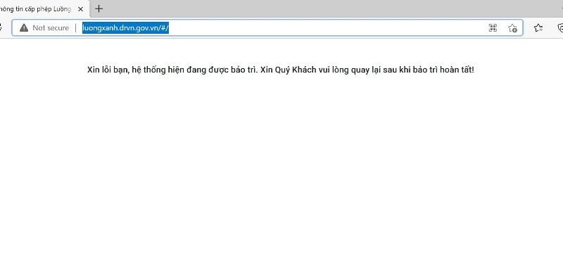 Trang đường truyền cấp thẻ luồng xanh được Tổng cục ĐBVN cấp cho Sở GTVT liên tục sập trắng màn hình trong ngày hôm nay như thế này. Trang đường truyền cấp thẻ luồng xanh được Tổng cục ĐBVN cấp cho Sở GTVT liên tục sập trắng màn hình trong ngày hôm nay như thế này.