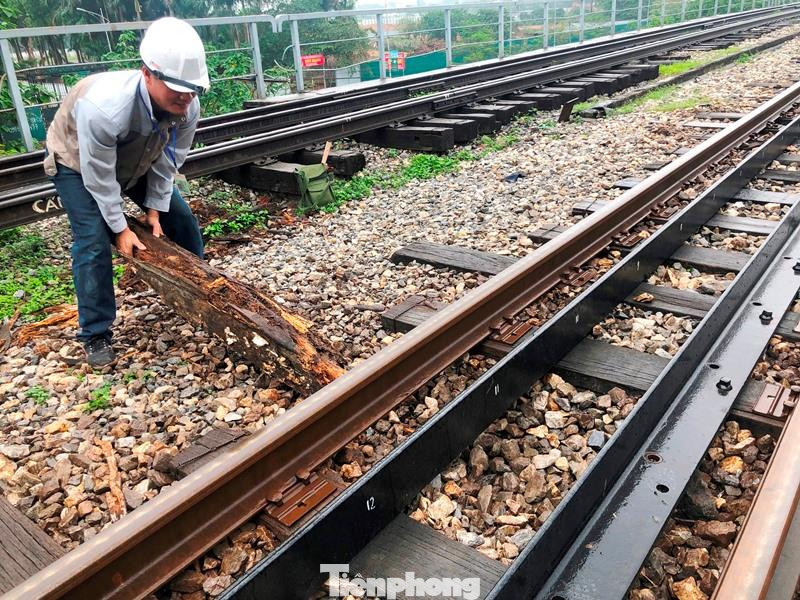 Thậm chí, nhiều thanh tà vẹt do mục ruỗng nhiều nên công nhân tuần đường ray đã phải kéo ra khỏi vị trí, bỏ đi để khỏi quấn vào chân (bánh) tàu.