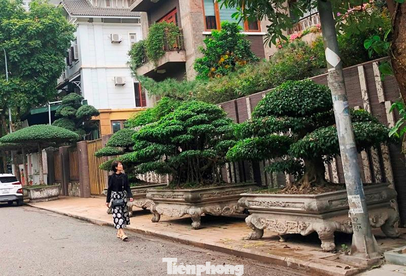 Sau lát đá, vỉa hè phố Nguyễn Duy Trinh đoạn qua biệt thự số 48-BT2 còn để các khay trồng cây bịt kín vỉa hè, người đi bộ phải tràn xuống đường. Sau lát đá, vỉa hè phố Nguyễn Duy Trinh đoạn qua biệt thự số 48-BT2 còn để các khay trồng cây bịt kín vỉa hè, người đi bộ phải tràn xuống đường.