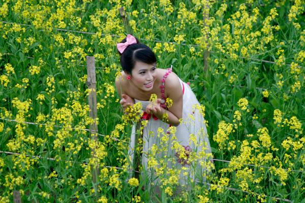 Các đôi uyên ương cũng đáp xuống chụp ảnh cưới