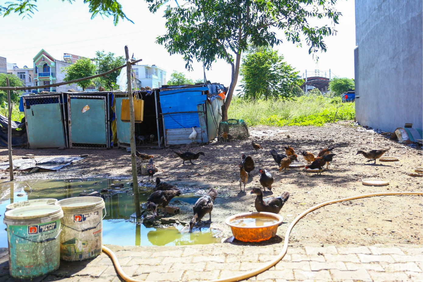 Tuy nhiên, do dự án liên doanh không được thực hiện nên UBND tỉnh Đồng Nai ký quyết định thu hồi giấy phép đầu tư, giao cho Công ty CP May - Xây dựng Huy Hoàng toàn quyền quyết định sử dụng đất.