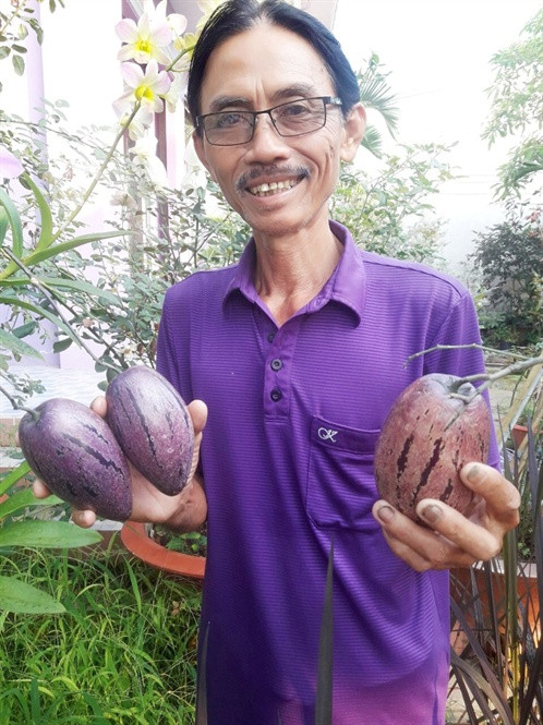 Lão nông 70 tuổi thích trồng hoa kiểng màu tím, thu tiền tỷ ảnh 12