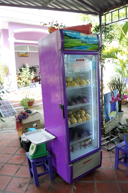 Lão nông 70 tuổi thích trồng hoa kiểng màu tím, thu tiền tỷ ảnh 11