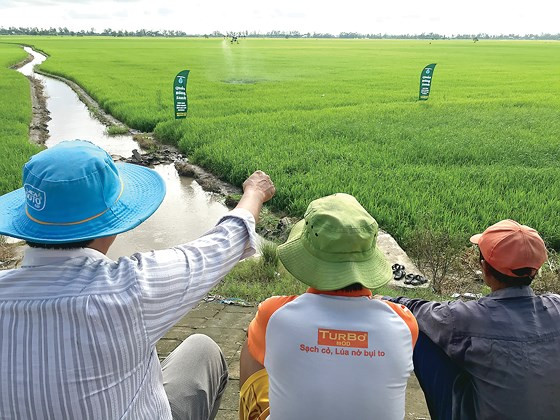 Làm nông thời 4:0 ảnh 3