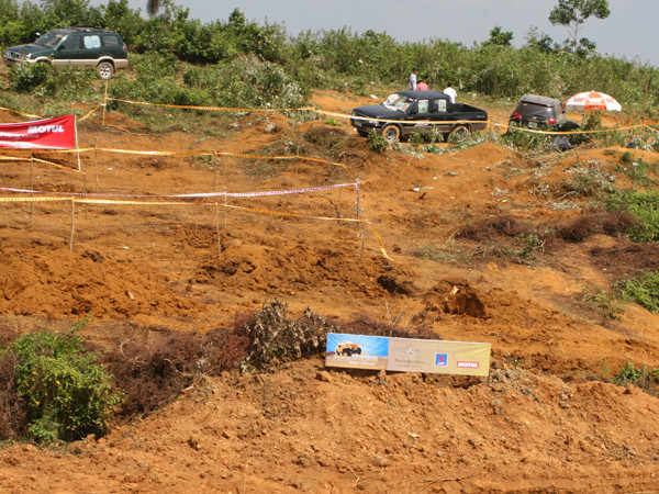 Cây cối bị xe cầy nát