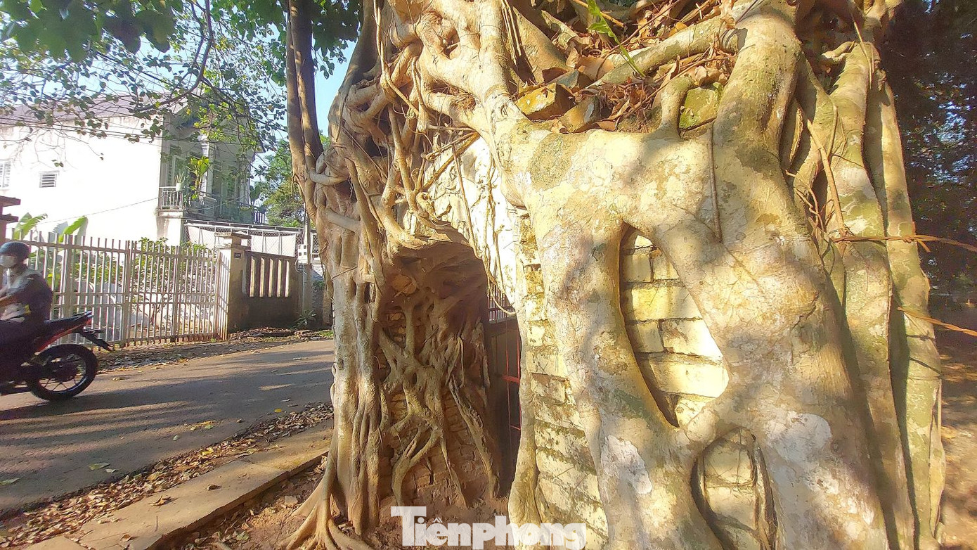 Theo tài liệu của Sở Văn hóa, Thể thao và Du lịch tỉnh Bình Dương, ban đầu đình Tân An chỉ là mấy gian nhà lá đơn sơ nên đặt tên chữ là “Tương An miếu”, do nhân dân của 4 xã: Tương Bình (nay là Tương Bình Hiệp), Tương An (nay là Tân An), Tương Hòa (nay là Định Hòa) và Cầu Định (nay là Tân Định) lập để thờ thần Thành Hoàng Bổn Cảnh, vị trí đình được đặt tại làng Tương An. Theo tài liệu của Sở Văn hóa, Thể thao và Du lịch tỉnh Bình Dương, ban đầu đình Tân An chỉ là mấy gian nhà lá đơn sơ nên đặt tên chữ là “Tương An miếu”, do nhân dân của 4 xã: Tương Bình (nay là Tương Bình Hiệp), Tương An (nay là Tân An), Tương Hòa (nay là Định Hòa) và Cầu Định (nay là Tân Định) lập để thờ thần Thành Hoàng Bổn Cảnh, vị trí đình được đặt tại làng Tương An.