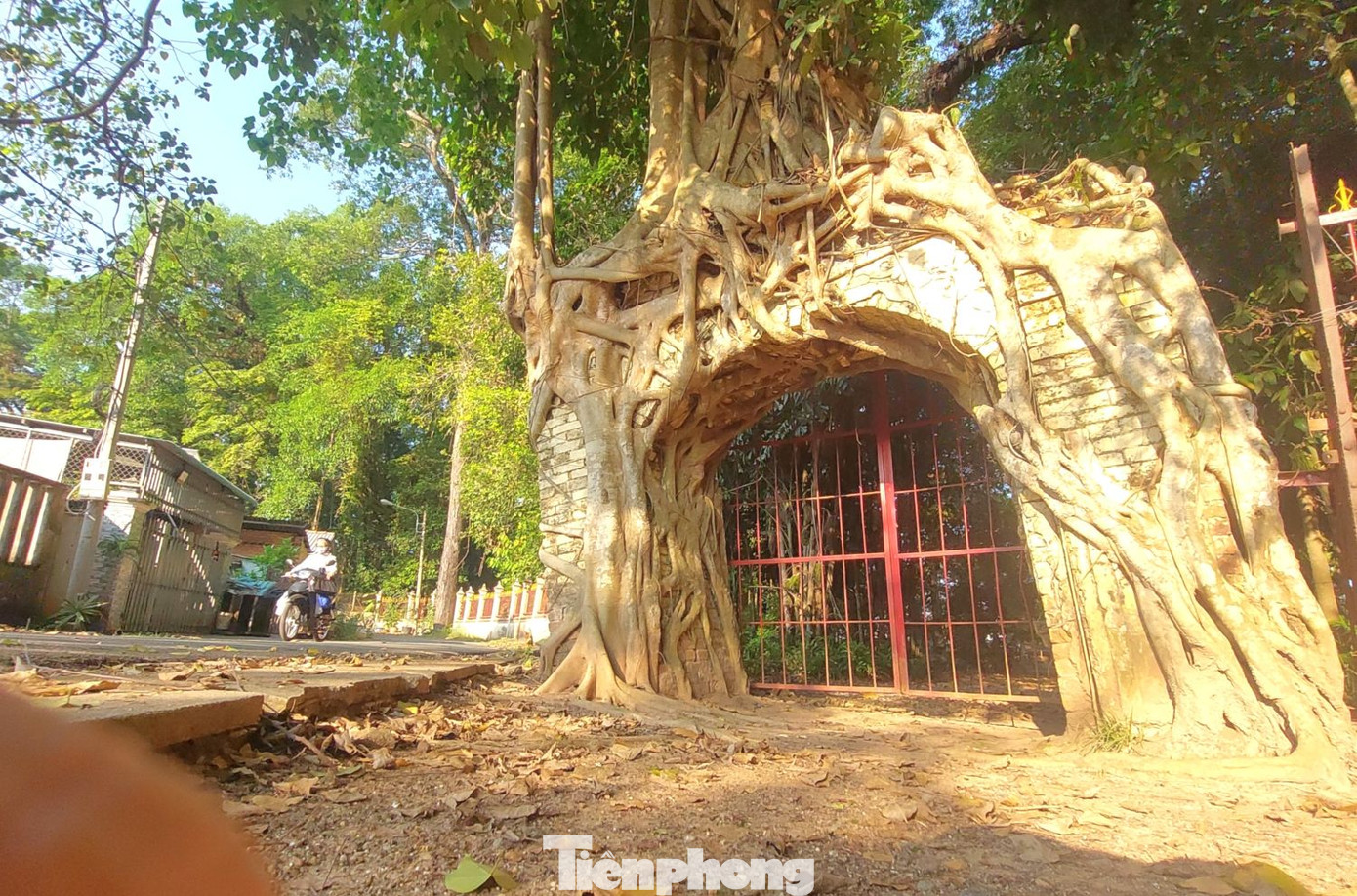 Hiện nay, đình Tân An vẫn còn lưu giữ Sắc phong của vua Tự Đức ban vào năm 1853. Ngoài lưu giữ những giá trị về mặt lịch sử văn hóa, đình Tân An còn là nơi sinh hoạt văn hóa tinh thần của người dân địa phương và trong vùng. Hiện nay, đình Tân An vẫn còn lưu giữ Sắc phong của vua Tự Đức ban vào năm 1853. Ngoài lưu giữ những giá trị về mặt lịch sử văn hóa, đình Tân An còn là nơi sinh hoạt văn hóa tinh thần của người dân địa phương và trong vùng.