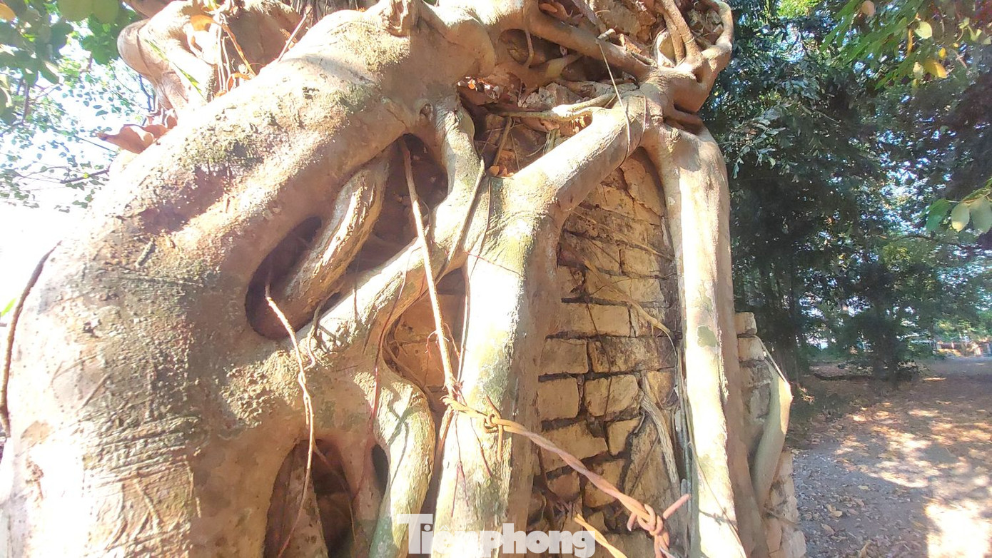 Vào ngày 19 tháng 11 năm Tự Đức thứ 21 (1869), vua Tự Đức ban sắc phong cho đình Tân An nhằm công nhận ngôi đình và phong tước hiệu cho thần Thành Hoàng để nhân dân biết mà thờ tự. Sắc phong luôn được cất giữ tại Nhà thờ dòng họ Nguyễn (hiện là nhà ông Nguyễn Tri Quan). Theo sắc vua Tự Đức ban thì vị thần được thờ chính trong đình là Thành Hoàng Bổn Cảnh. Vào ngày 19 tháng 11 năm Tự Đức thứ 21 (1869), vua Tự Đức ban sắc phong cho đình Tân An nhằm công nhận ngôi đình và phong tước hiệu cho thần Thành Hoàng để nhân dân biết mà thờ tự. Sắc phong luôn được cất giữ tại Nhà thờ dòng họ Nguyễn (hiện là nhà ông Nguyễn Tri Quan). Theo sắc vua Tự Đức ban thì vị thần được thờ chính trong đình là Thành Hoàng Bổn Cảnh.