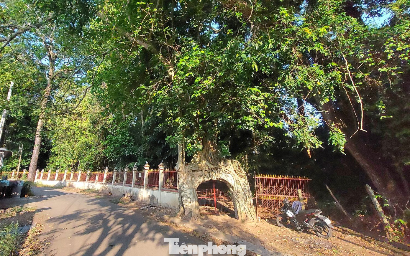 Cổng đình độc đáo này từng được các nhà làm phim Việt Nam chọn là bối cảnh chính trong các cảnh quay về làng quê Nam bộ xưa. Cổng đình độc đáo này từng được các nhà làm phim Việt Nam chọn là bối cảnh chính trong các cảnh quay về làng quê Nam bộ xưa.