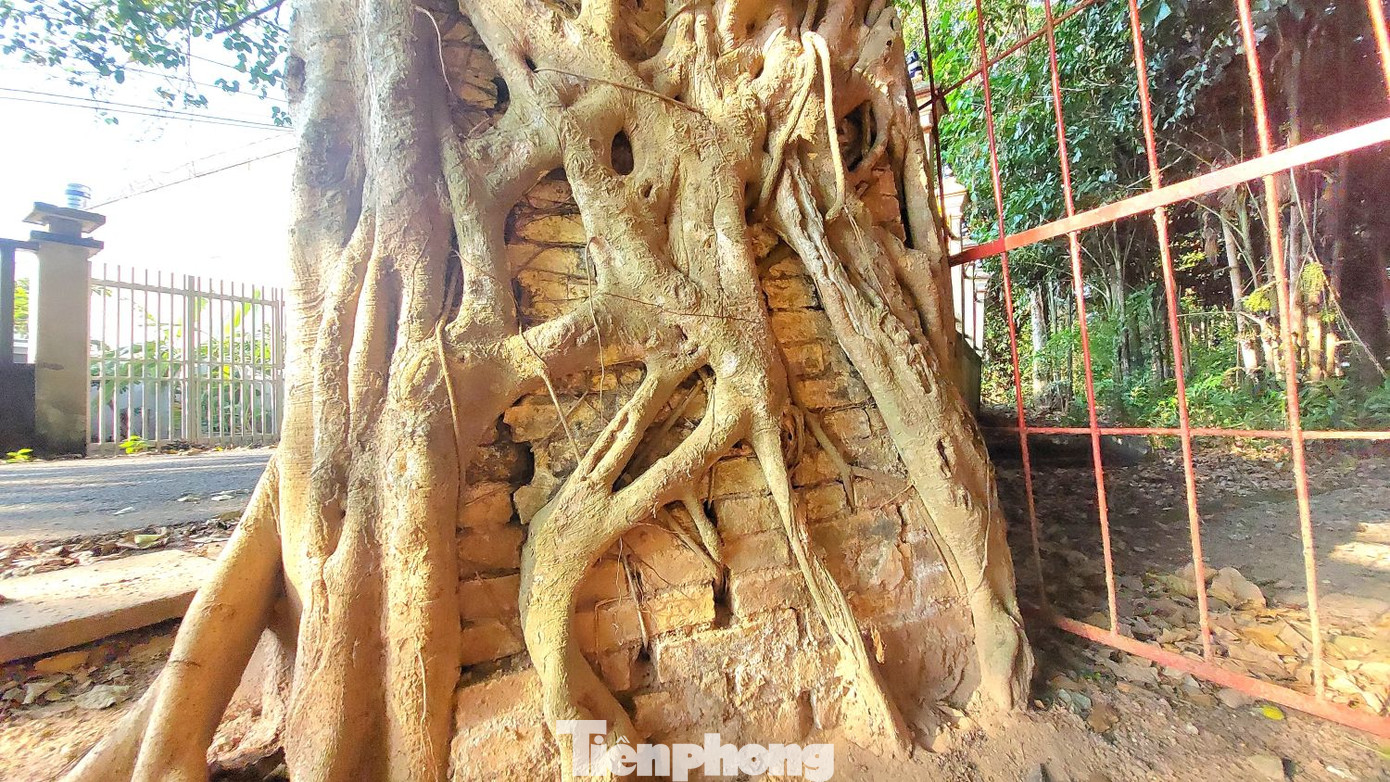 Tiên tổ dòng họ Nguyễn (làm chức Ban biện) đứng ra chủ trì xây dựng lại ngôi đình với quy mô lớn, có hình dáng như bây giờ. Mặt khác, dòng họ Nguyễn là một trong những lớp cư dân đầu tiên đến vùng đất Tân An khai hoang lập nghiệp và có công trùng tu ngôi đình làng nên được dân làng tôn làm “Tiền hiền - Hậu hiền” và được thờ trong ngôi chánh điện để tỏ lòng thành kính. Tiên tổ dòng họ Nguyễn (làm chức Ban biện) đứng ra chủ trì xây dựng lại ngôi đình với quy mô lớn, có hình dáng như bây giờ. Mặt khác, dòng họ Nguyễn là một trong những lớp cư dân đầu tiên đến vùng đất Tân An khai hoang lập nghiệp và có công trùng tu ngôi đình làng nên được dân làng tôn làm “Tiền hiền - Hậu hiền” và được thờ trong ngôi chánh điện để tỏ lòng thành kính.