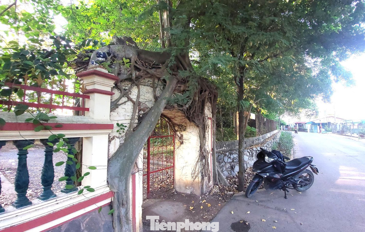 Trong không gian yên tĩnh, đình Tân An tạo sự cuốn hút bởi hai cổng trước và sau được bao bọc bởi cây đa. Bên trong khuôn viên có hàng chục cây cổ thụ quý hiếm, tạo nên một sự huyền bí đến khó tả. Trong không gian yên tĩnh, đình Tân An tạo sự cuốn hút bởi hai cổng trước và sau được bao bọc bởi cây đa. Bên trong khuôn viên có hàng chục cây cổ thụ quý hiếm, tạo nên một sự huyền bí đến khó tả.