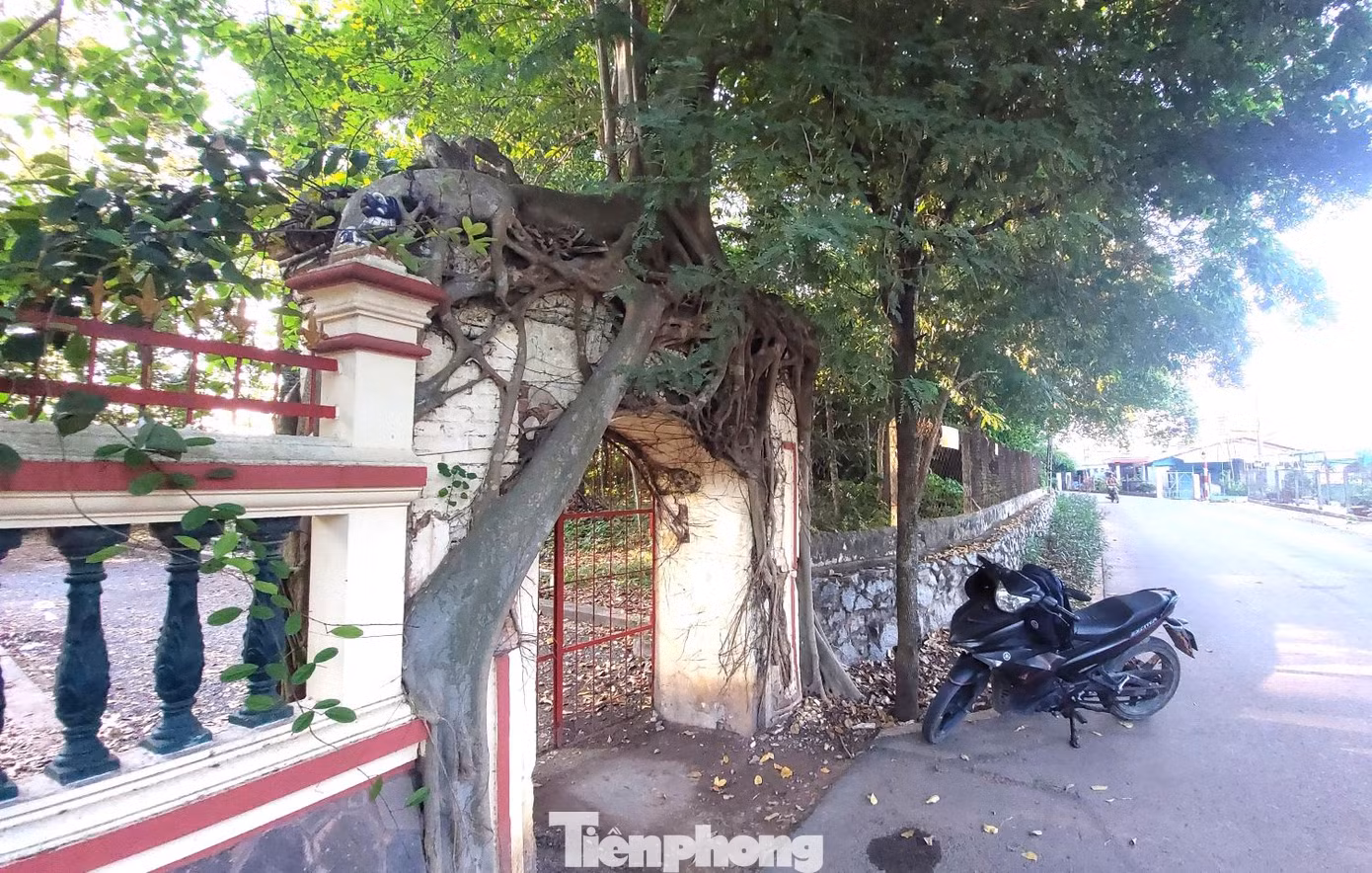 Trong không gian yên tĩnh, đình Tân An tạo sự cuốn hút bởi hai cổng trước và sau được bao bọc bởi cây đa. Bên trong khuôn viên có hàng chục cây cổ thụ quý hiếm, tạo nên một sự huyền bí đến khó tả. Trong không gian yên tĩnh, đình Tân An tạo sự cuốn hút bởi hai cổng trước và sau được bao bọc bởi cây đa. Bên trong khuôn viên có hàng chục cây cổ thụ quý hiếm, tạo nên một sự huyền bí đến khó tả.