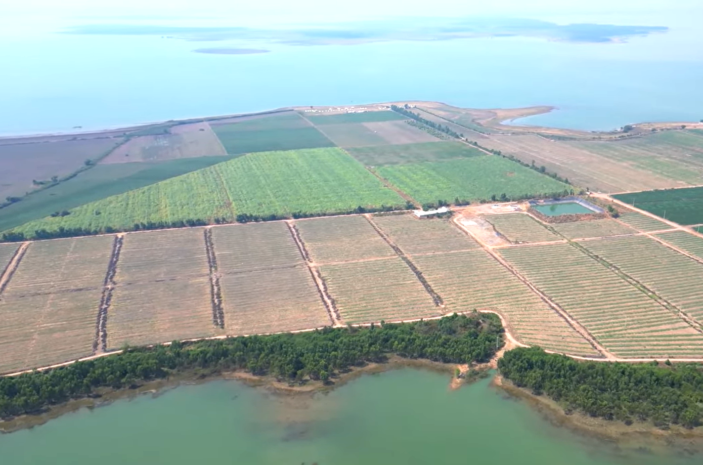 Khu dịch vụ du lịch sinh thái, nghỉ dưỡng và giải trí tại bán đảo Tha La có vị trí tại xã Định Thành (huyện Dầu Tiếng). Phía Đông giáp rừng phòng hộ núi Cậu và đường ĐH.703ND; phía Tây giáp hồ Dầu Tiếng; phía Nam giáp hồ Dầu Tiếng và đường ĐH.703ND; phía Bắc giáp hồ Dầu Tiếng.