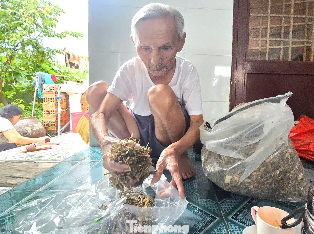 Hằng ngày, cụ Thành nấu nước lá cây để uống