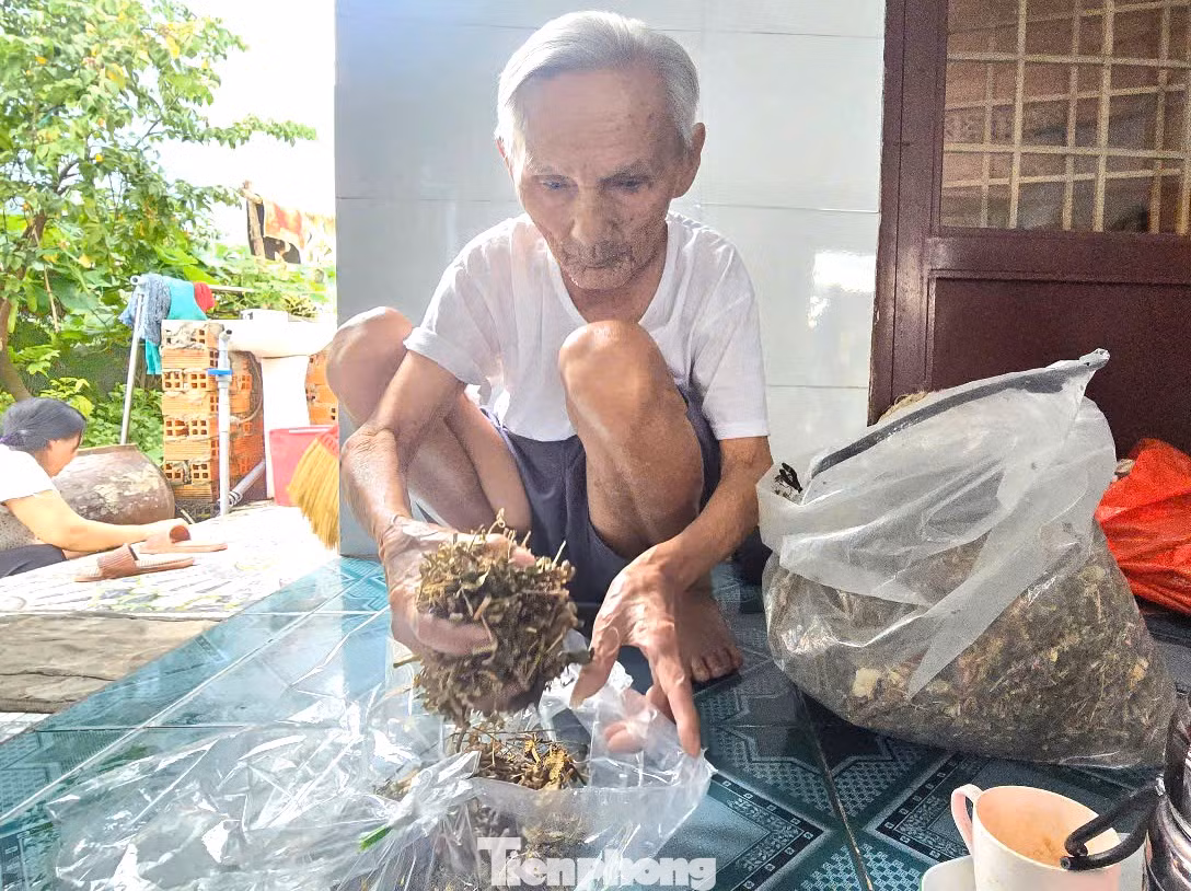 Hằng ngày, cụ Thành nấu nước lá cây để uống