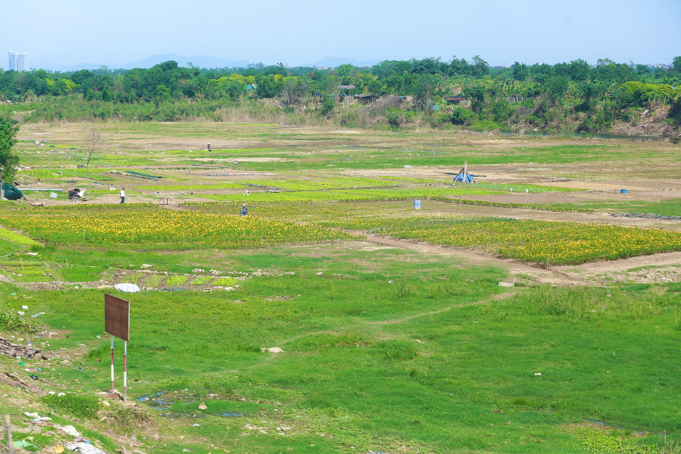Trước đó, một khu vực rộng lớn ven sông Hồng thuộc địa bàn phường Phúc Xá (Ba Đình) đã được giải phóng mặt bằng, trồng hoa để tạo cảnh quan môi trường sạch đẹp, phục vụ đời sống người dân.