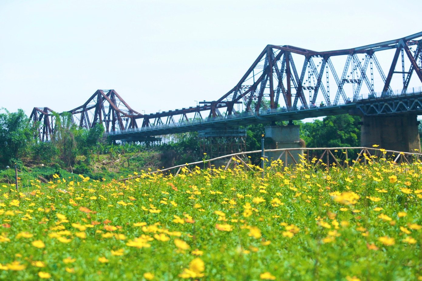 Trước đó, một khu vực rộng lớn ven sông Hồng thuộc địa bàn phường Phúc Xá (Ba Đình) đã được giải phóng mặt bằng, trồng hoa để tạo cảnh quan môi trường sạch đẹp, phục vụ đời sống người dân.