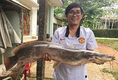 Bản tin 8H: Kẻ trộm phá khóa chiếc SH mode trong nháy mắt ảnh 1