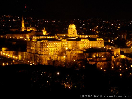 Lâu đài Malbork nổi tiếng nhất Ba Lan rộng 143.591 m2, được xây hoàn toàn bằng gạch theo phong cách kiến trúc Gôtích lớn nhất thế giới. Mehrangarh Fort rộng 81.227 m2, một pháo đài hàng nghìn năm tuổi tại Ấn Độ. Bao quanh là bức tường kiên cố có chiều dày 6m, bên trong là cung điện nguy nga với kiến trúc tinh xảo. Tại đây, bạn có thể thấy nhiều hiện vật lịch sử của những vị vua. Prague Castle rộng 66.761 m2 là lâu đài thời trung cổ lớn nhất ở châu Âu và là nơi ngự trị cổ xưa của các vị vua Séc trong suốt các thời đại. Đây là quần thể các tòa nhà, cung điện, thánh đường lộng lẫy và được xem là biểu tượng của cộng hòa Séc. Windsor Castle rộng 54.835 m2, là lâu đài lớn nhất, lâu đời nhất thế giới và là niềm tự hào lịch sử nước Anh. Lâu đài Hohensalzburg rộng 54523 m2 nằm tại thành phố Salzburg, Áo. Spis Castle rông 49485 m2 là một trong những lâu đài thời Trung cổ lớn nhất ở trung tâm châu Âu, tại miền đông Slovak Buda Castle rộng 44.674 m2 là lâu đài lịch sử của các vị vua Hungary tại Budapest. Himeji Castle rộng 41.468 m2 nằm ở trung tâm của thành phố Himeji, Nhật Bản. Thành cổ Aleppo rộng 39.804 m2, được coi là niềm tự hào của sa mạc, thành cổ Aleppo là một trong những lâu đài nổi tiếng nhất trong thế giới Ả Rập.