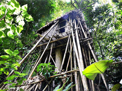 Nhà của con trai “người rừng” . Nhà của con trai “người rừng”