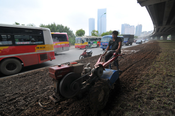 Phía dưới đường sẽ được trồng cỏ, cây cảnh để tạo cảnh quan chứ không làm bãi trông xe như các cầu cạn khác.