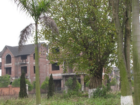 Hoàng tàn khung cảnh đô thị mới Nam Từ Sơn