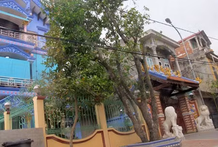 Ngôi nhà có nghê đá gác cửa của vợ chồng Thúy - Duyên