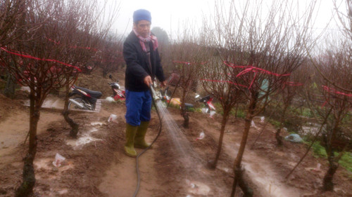 Trời mưa rét, buốt giá, nhiệt độ có hôm xuống dưới 10 độ C khiến nhiều người không khỏi lo ngại