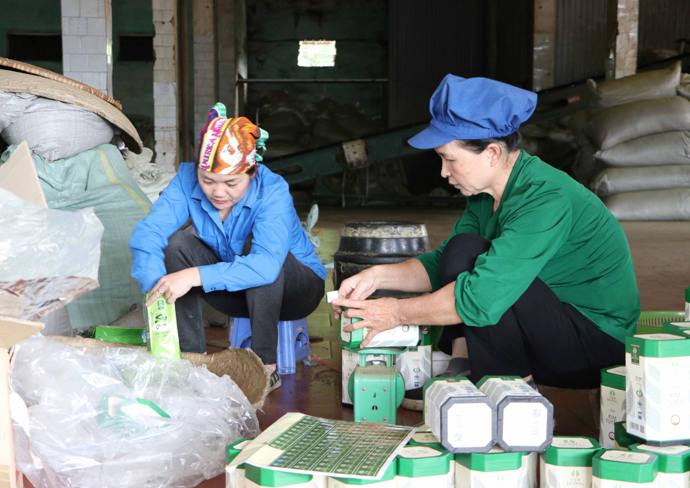 Các cơ sở chế biến chè ở Lai Châu dán tem nhãn để truy xuất nguồn gốc sản phẩm. Các cơ sở chế biến chè ở Lai Châu dán tem nhãn để truy xuất nguồn gốc sản phẩm.