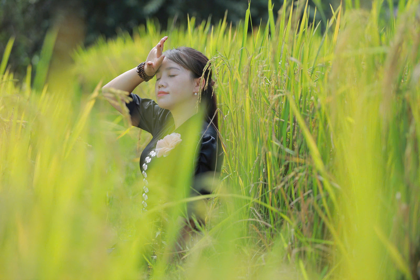 Thiếu nữ Than Uyên (Lai Châu) bên cánh đồng lúa.