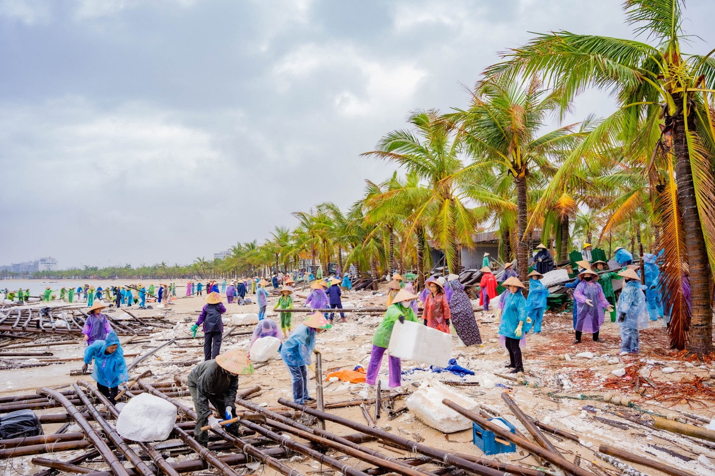 Hàng trăm phật tử trẻ Chùa Ba Vàng phối hợp thành đoàn Hạ Long dọn dẹp bãi biển Tuần Châu