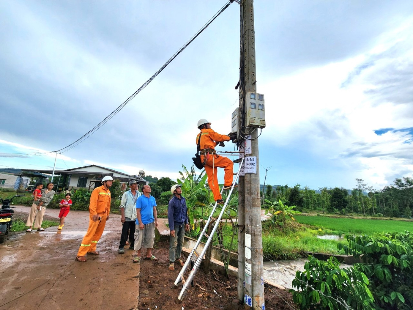 PC Đắk Nông ưu tiên nguồn lực đầu tư kéo điện về các khu vực nông thôn