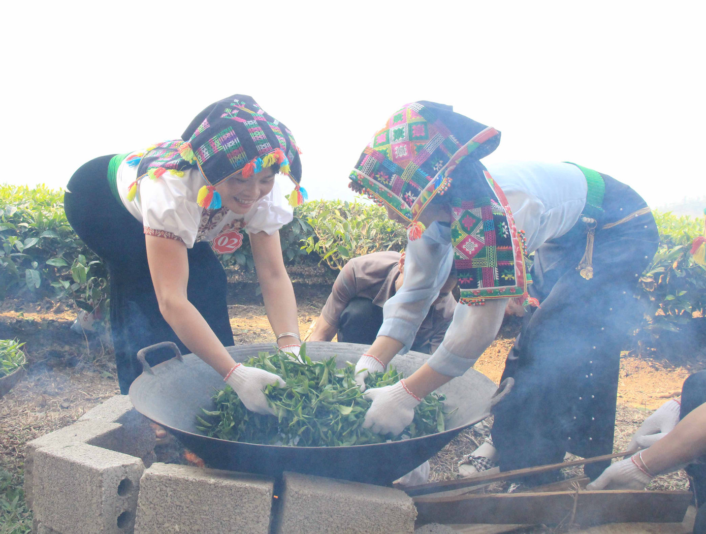 Sao chè bằng tay được đưa vào các lễ hội của tỉnh Lai Châu. Sao chè bằng tay được đưa vào các lễ hội của tỉnh Lai Châu.