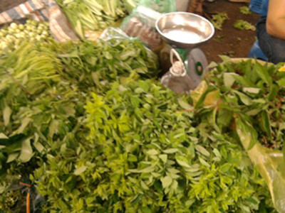 Rất khó phân biệt đâu là rau sạch, rau nhiễm thuốc bảo vệ thực vật.. Rất khó phân biệt đâu là rau sạch, rau nhiễm thuốc bảo vệ thực vật.