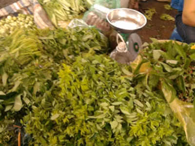 Rất khó phân biệt đâu là rau sạch, rau nhiễm thuốc bảo vệ thực vật.